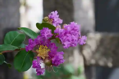 六孫王神社(京都府)