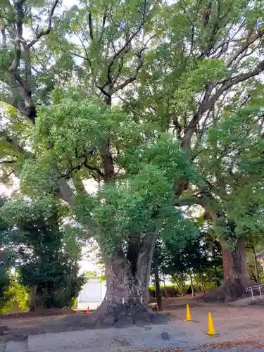 飯野神社(三重県)