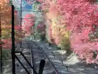 鞍馬寺(京都府)