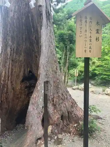 丹生川上神社（中社）(奈良県)
