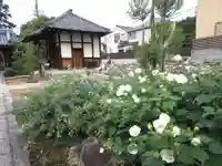 成願寺のその他建物