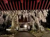 妙道寺(栃木県)