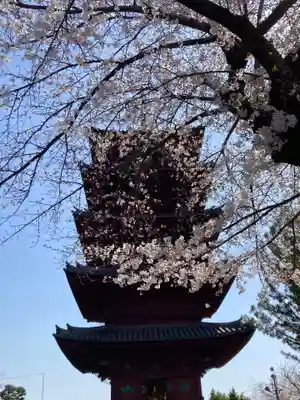 池上本門寺(東京都)