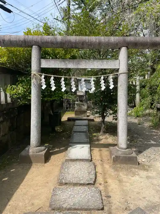 高城神社の{uncategorized: "未分類", other: "その他", undefined: "問題あり", building: "その他建物", grave: "お墓", sacred_gate: "鳥居", guardian: "狛犬", statue: "像", buddha: "仏像", history: "歴史", nature: "自然", garden: "庭園", animal: "動物", pagoda: "塔", temizu: "手水舎", mountain_gate: "山門・神門", sanctuary: "本殿・本堂", subordinate: "末社・摂社", art: "芸術", scenery: "景色", jizo: "地蔵", ema: "絵馬", goshuin: "御朱印", omikuji: "おみくじ", items: "授与品その他", amulet: "お守り", goshuincho: "御朱印帳", eats: "食事", festival: "お祭り", votive_dance: "神楽", shichigosan: "七五三参", wedding: "結婚式", experience: "体験その他", initially: "初詣", around: "周辺", anti_infection: "感染症対策"}