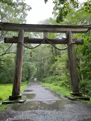 戸隠神社奥社の{uncategorized: "未分類", other: "その他", undefined: "問題あり", building: "その他建物", grave: "お墓", sacred_gate: "鳥居", guardian: "狛犬", statue: "像", buddha: "仏像", history: "歴史", nature: "自然", garden: "庭園", animal: "動物", pagoda: "塔", temizu: "手水舎", mountain_gate: "山門・神門", sanctuary: "本殿・本堂", subordinate: "末社・摂社", art: "芸術", scenery: "景色", jizo: "地蔵", ema: "絵馬", goshuin: "御朱印", omikuji: "おみくじ", items: "授与品その他", amulet: "お守り", goshuincho: "御朱印帳", eats: "食事", festival: "お祭り", votive_dance: "神楽", shichigosan: "七五三参", wedding: "結婚式", experience: "体験その他", initially: "初詣", around: "周辺", anti_infection: "感染症対策"}