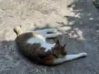 長楽寺(静岡県)