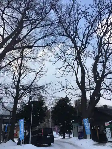 札幌諏訪神社の自然