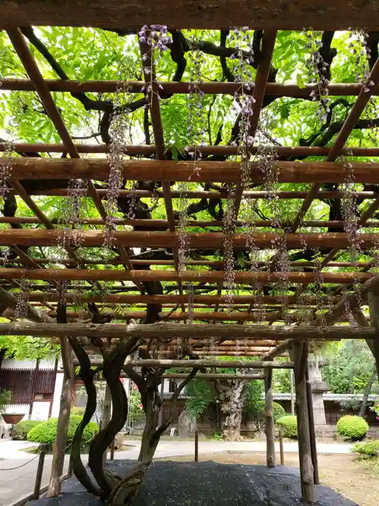 愛染院(東京都)