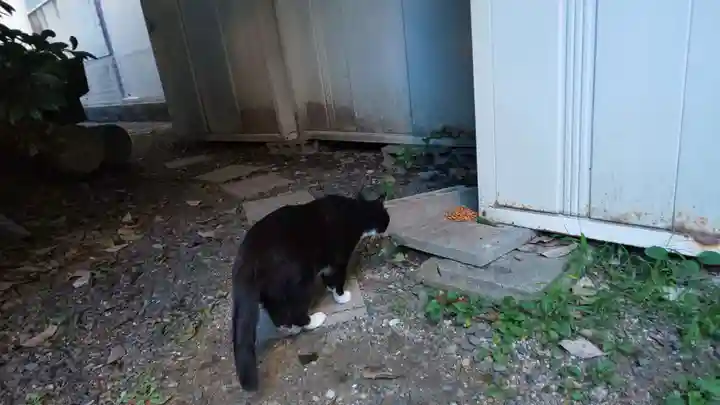 道祖神社(京都府)