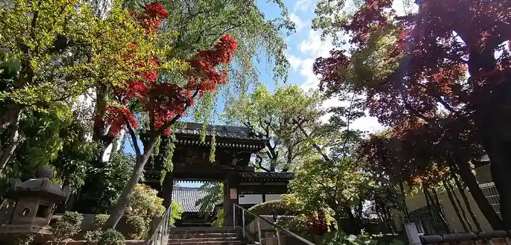 法輪寺の山門・神門