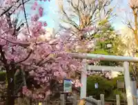 鳩森八幡神社の自然