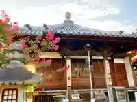 真言宗 善通寺派 薬王寺(香川県)