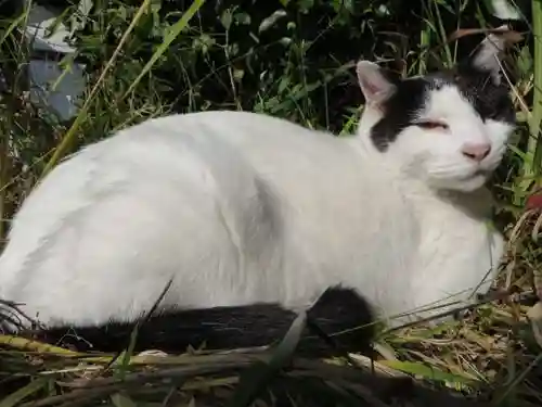 梅宮大社(京都府)