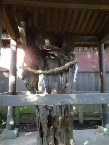 鶴嶺八幡宮の自然