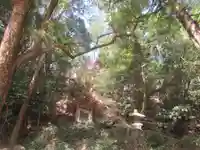 梅園神社(埼玉県)