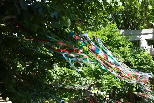 釧路一之宮 厳島神社の自然