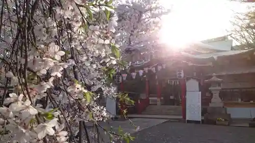 居木神社(東京都)