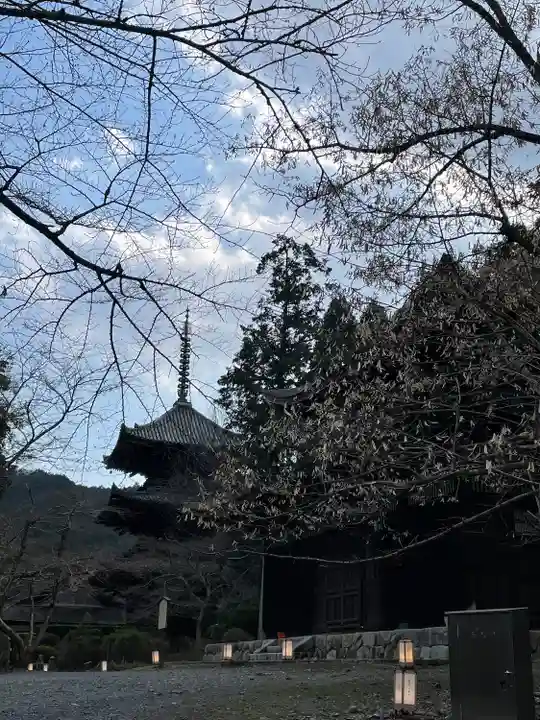 園城寺(三井寺)(滋賀県)