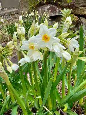神吉八幡神社(兵庫県)