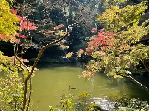 成田山新勝寺(千葉県)