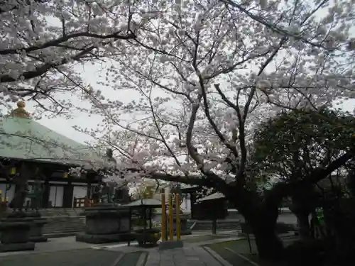 長勝寺の景色