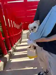 元乃隅神社(山口県)