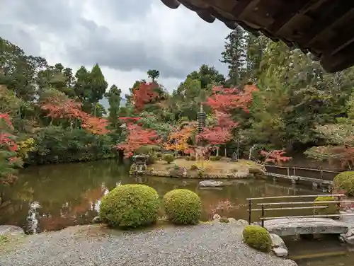 清凉寺の庭園