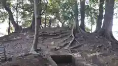 七百餘所神社 の自然