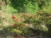 正福寺別当米山薬師堂(埼玉県)
