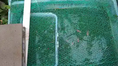 西法寺(大阪府)