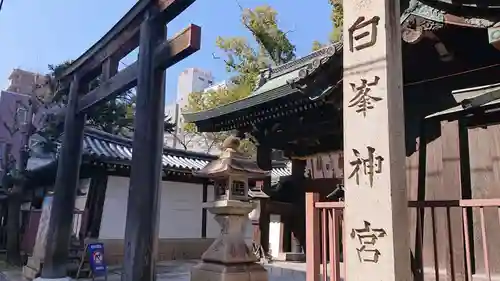 白峯神宮の鳥居