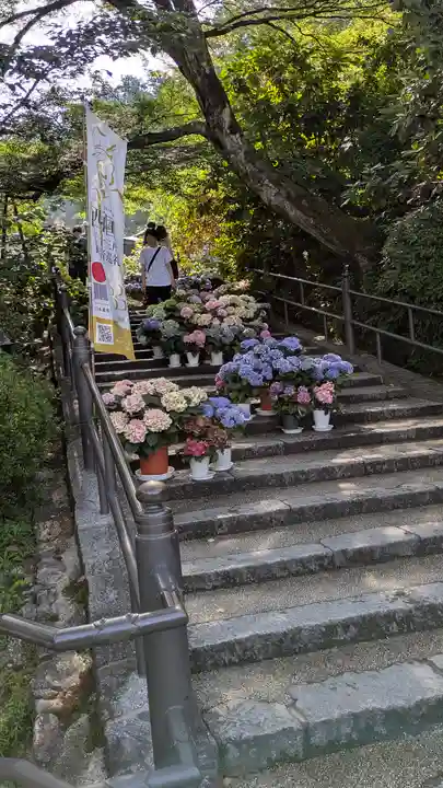 岡寺(龍蓋寺)(奈良県)