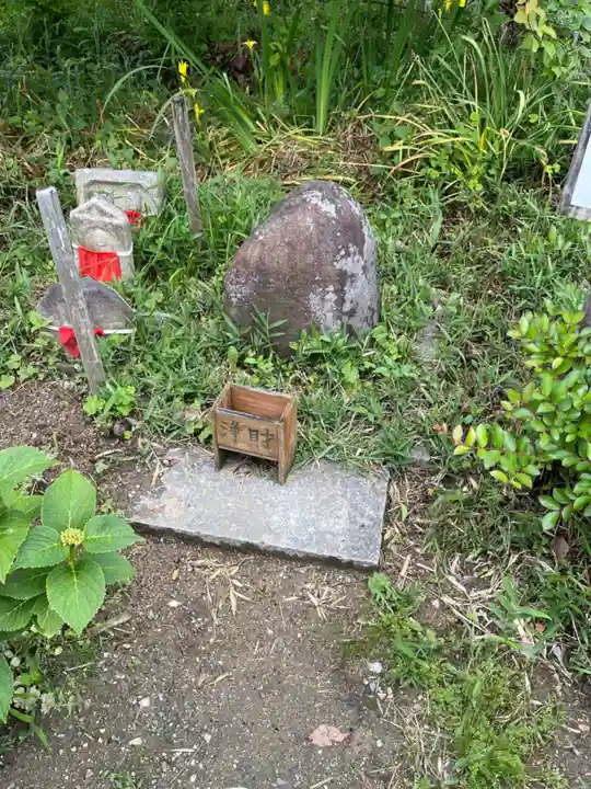 般若寺 ❁コスモス寺❁(奈良県)