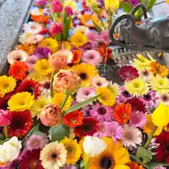 札幌諏訪神社の手水