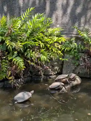 磐井神社(東京都)