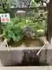 難波熊野神社の手水舎