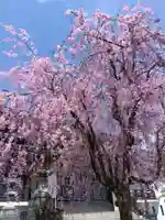 浄得寺(福井県)