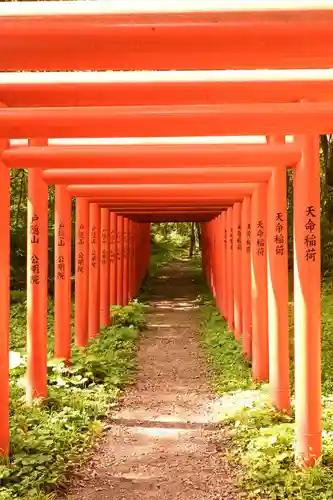 天命稲荷神社(長野県)