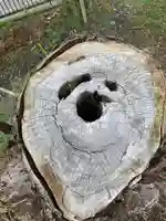 諏訪神社の自然