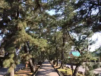 御穂神社(静岡県)
