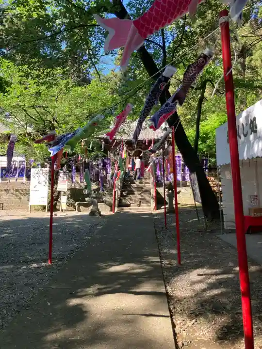 下野 星宮神社の{uncategorized: "未分類", other: "その他", undefined: "問題あり", building: "その他建物", grave: "お墓", sacred_gate: "鳥居", guardian: "狛犬", statue: "像", buddha: "仏像", history: "歴史", nature: "自然", garden: "庭園", animal: "動物", pagoda: "塔", temizu: "手水舎", mountain_gate: "山門・神門", sanctuary: "本殿・本堂", subordinate: "末社・摂社", art: "芸術", scenery: "景色", jizo: "地蔵", ema: "絵馬", goshuin: "御朱印", omikuji: "おみくじ", items: "授与品その他", amulet: "お守り", goshuincho: "御朱印帳", eats: "食事", festival: "お祭り", votive_dance: "神楽", shichigosan: "七五三参", wedding: "結婚式", experience: "体験その他", initially: "初詣", around: "周辺", anti_infection: "感染症対策"}