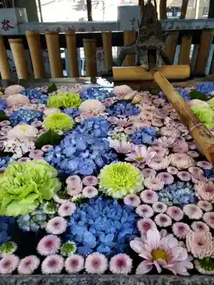 高円寺氷川神社(東京都)