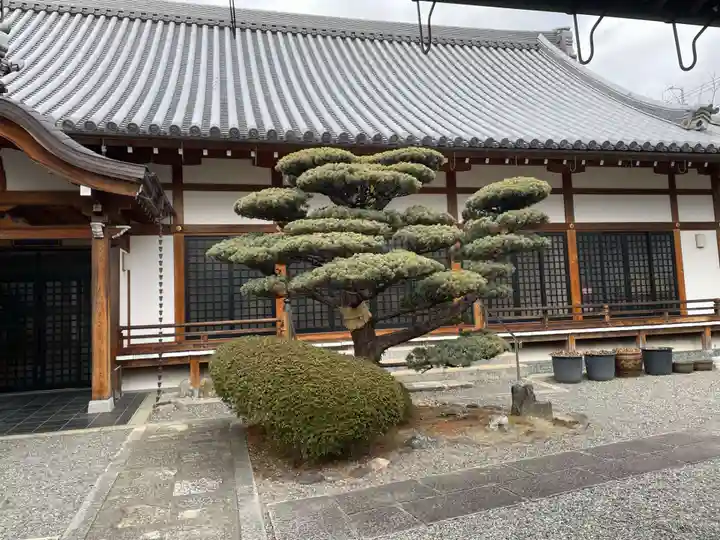 長恩寺(京都府)