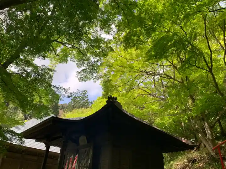 普門寺(切り絵御朱印発祥の寺)の本殿・本堂