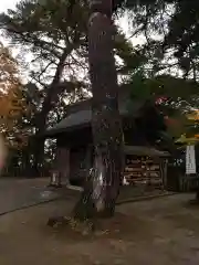 唐澤山神社の自然