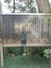 如意輪観世音の歴史