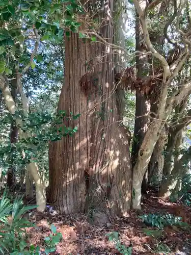 庭田神社の庭園