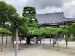 本福寺(滋賀県)