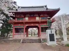 金乗院の山門