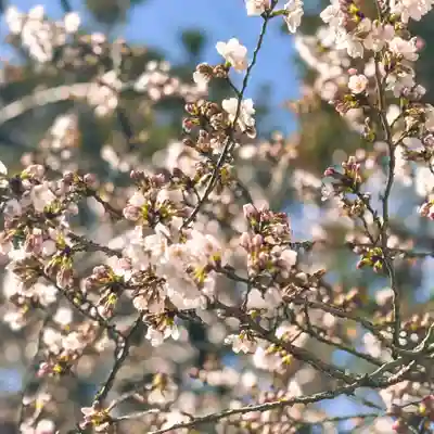 伊勢の国 四天王寺(三重県)